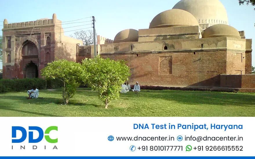 DNA Test in Panipat