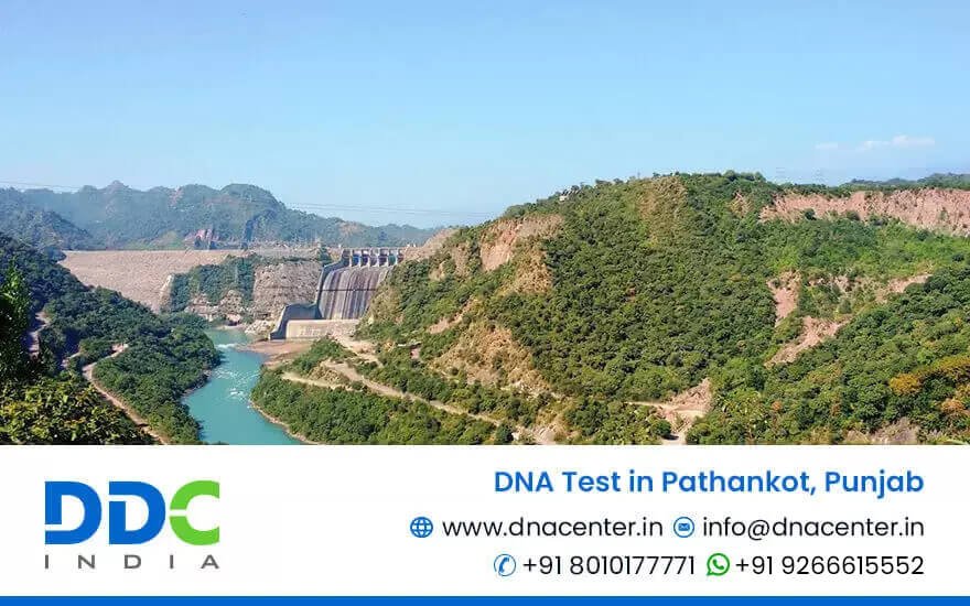 DNA Test in Pathankot