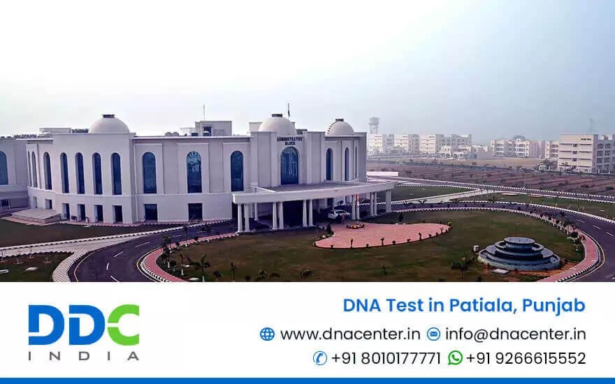 DNA Test in Patiala