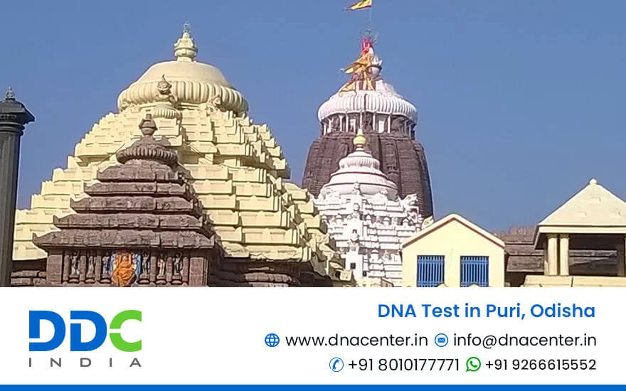 DNA Test in Puri