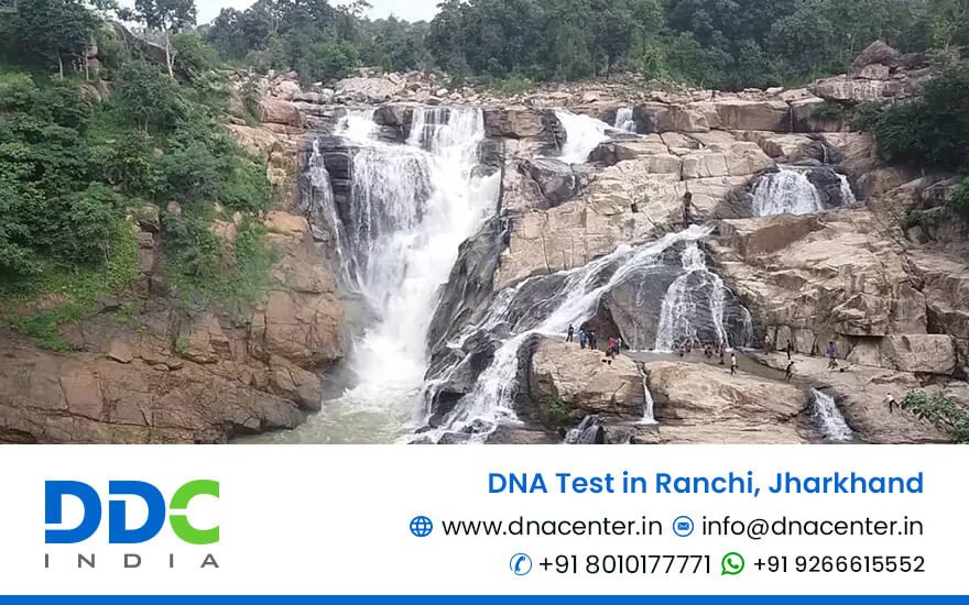 DNA Test in Ranchi