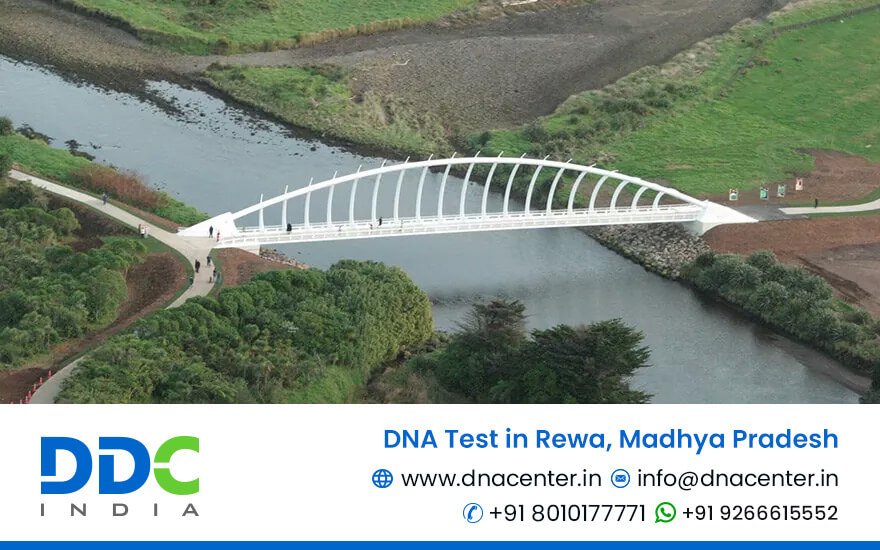 DNA Test in Rewa