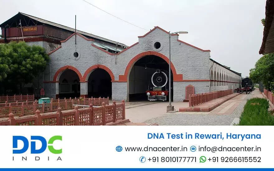 DNA Test in Rewari