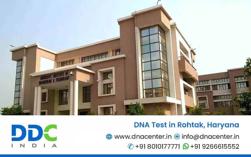 DNA Test in Rohtak