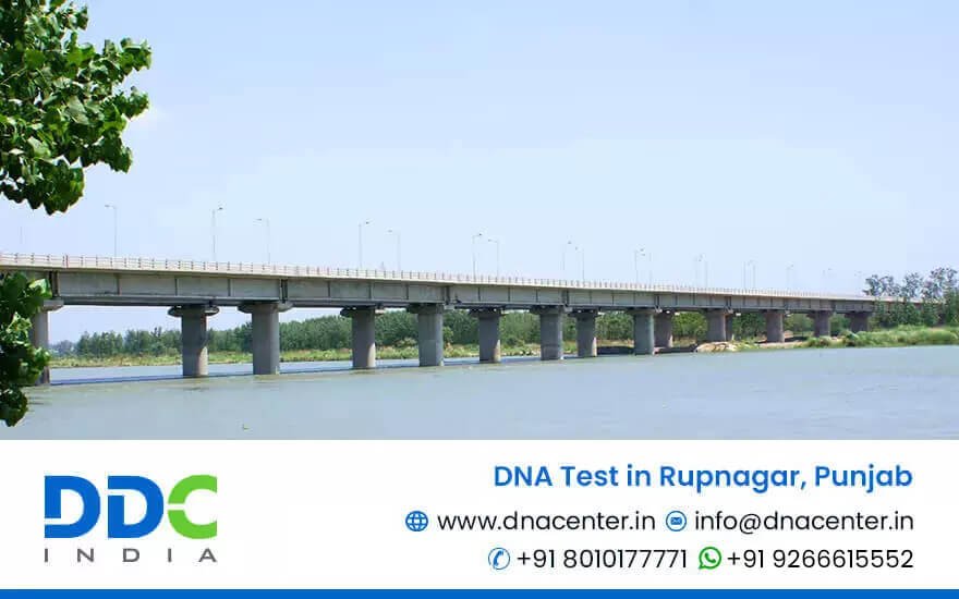 DNA Test in Rupnagar