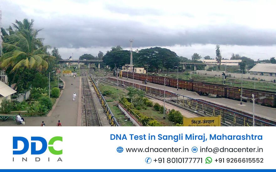 DNA Test in Sangli Miraj