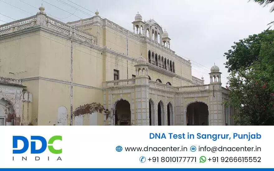 DNA Test in Sangrur