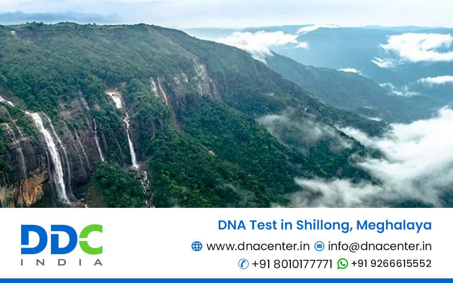 DNA Test in Shillong