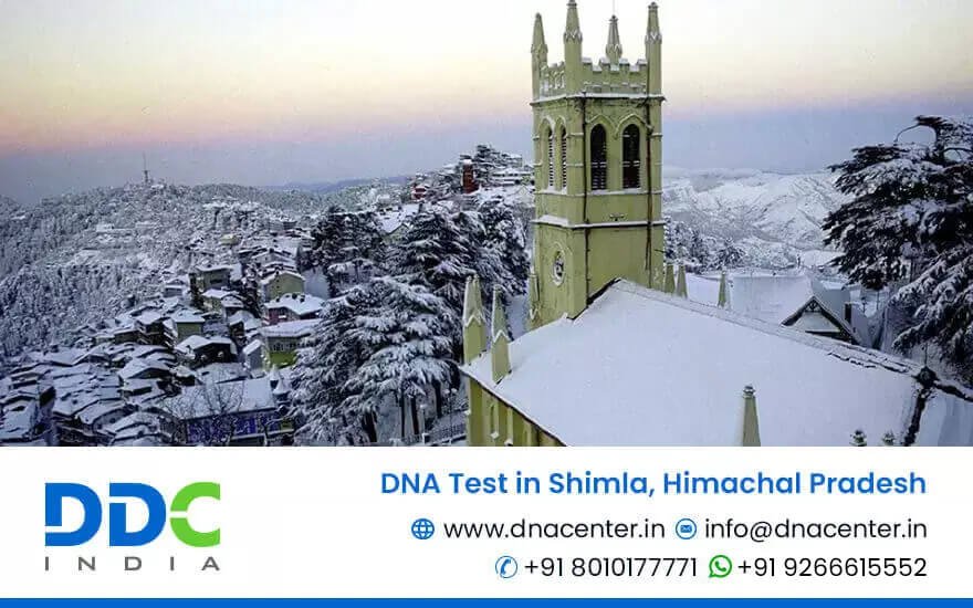 DNA Test in Shimla