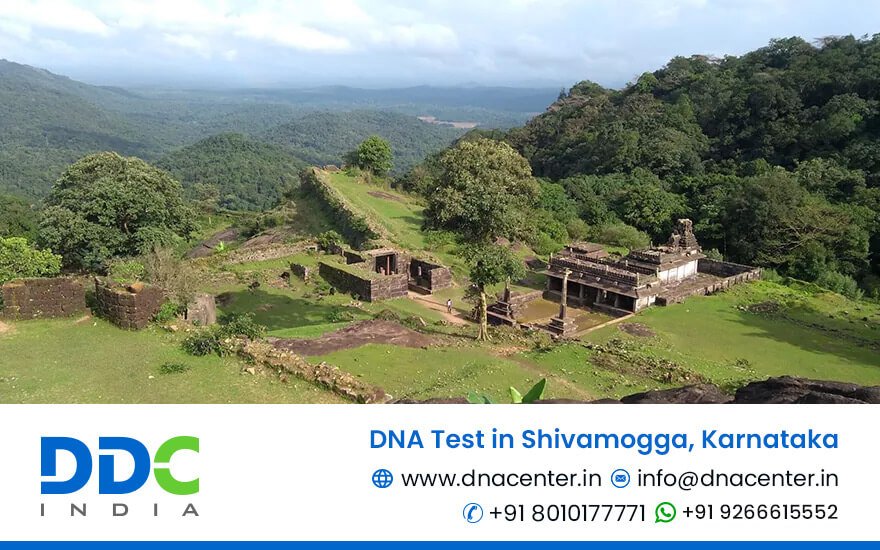 DNA Test in Shivamogga