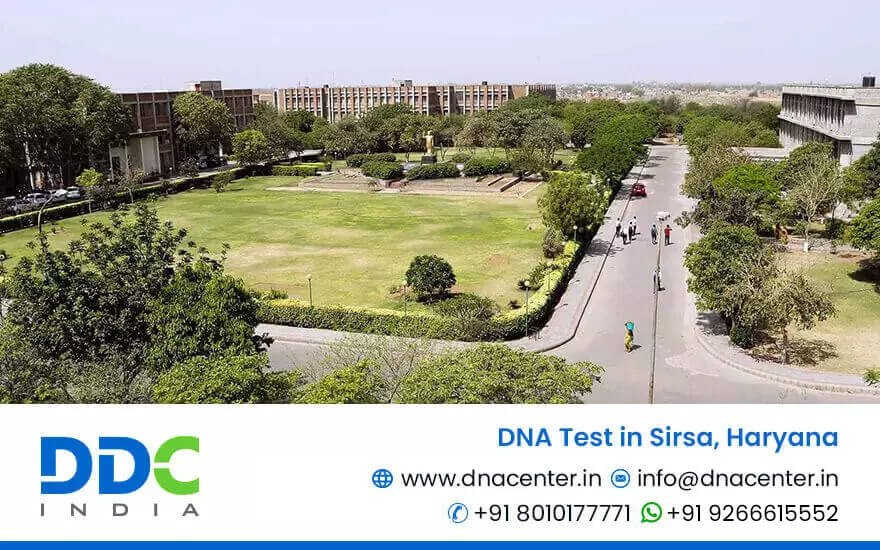 DNA Test in Sirsa
