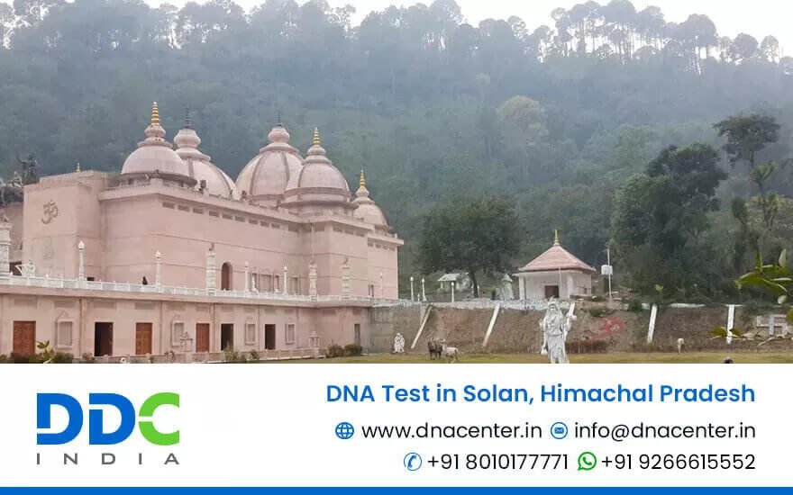 DNA Test in Solan
