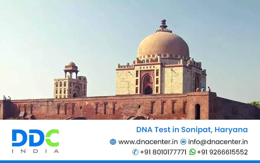 DNA Test in Sonipat