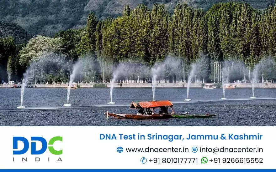 DNA Test in Srinagar