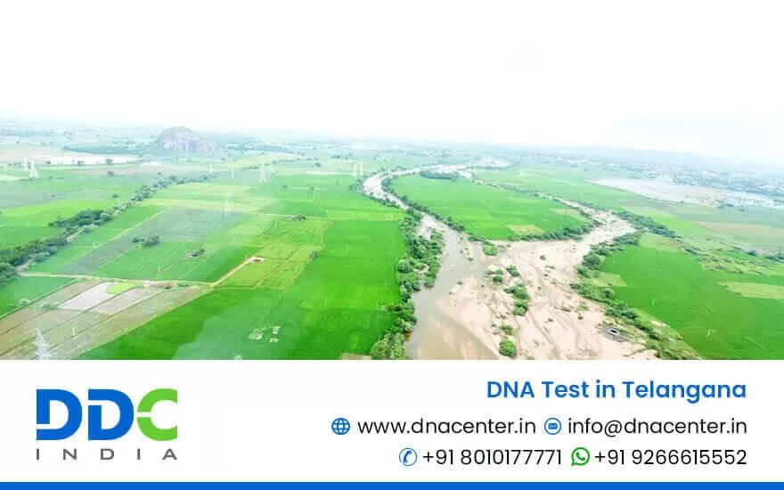 DNA Test in Telangana