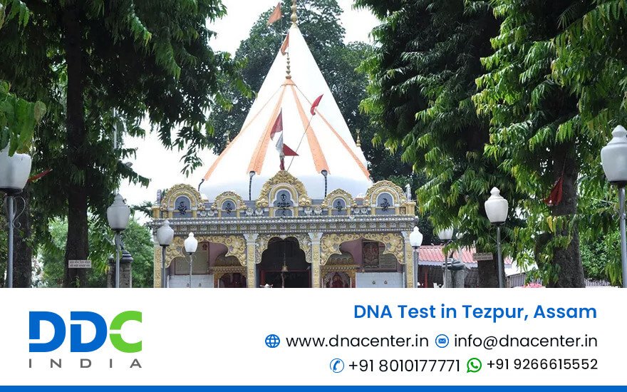 DNA Test in Tezpur
