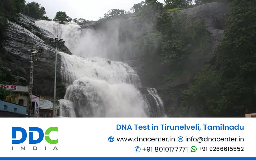 DNA Test in Tirunelveli