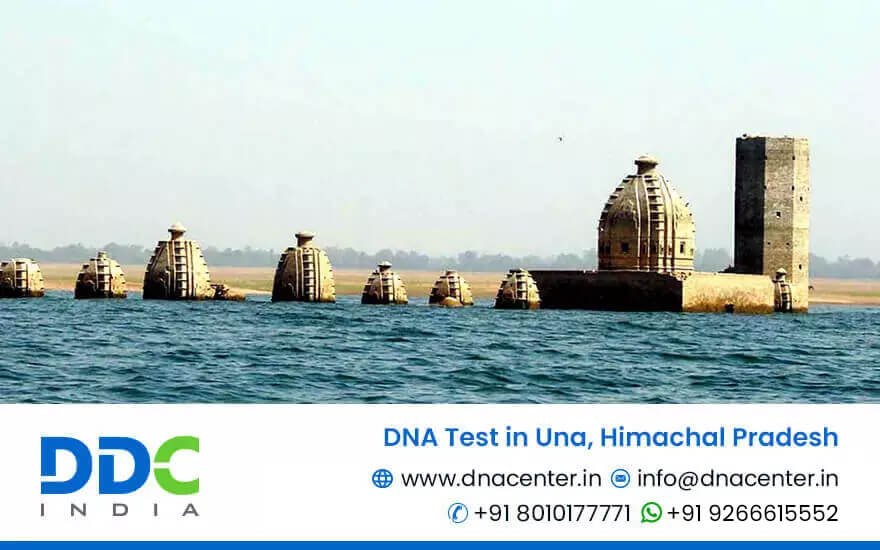DNA Test in Una