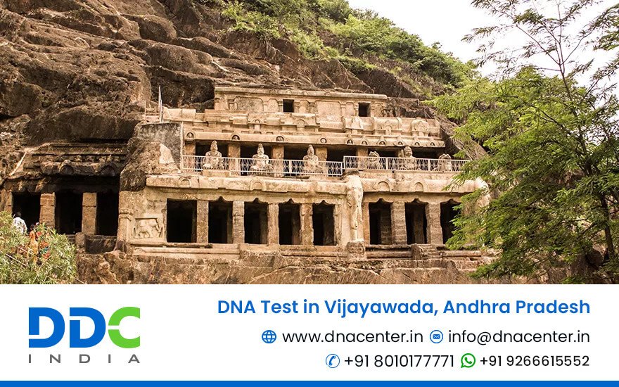 DNA Test in Vijayawada