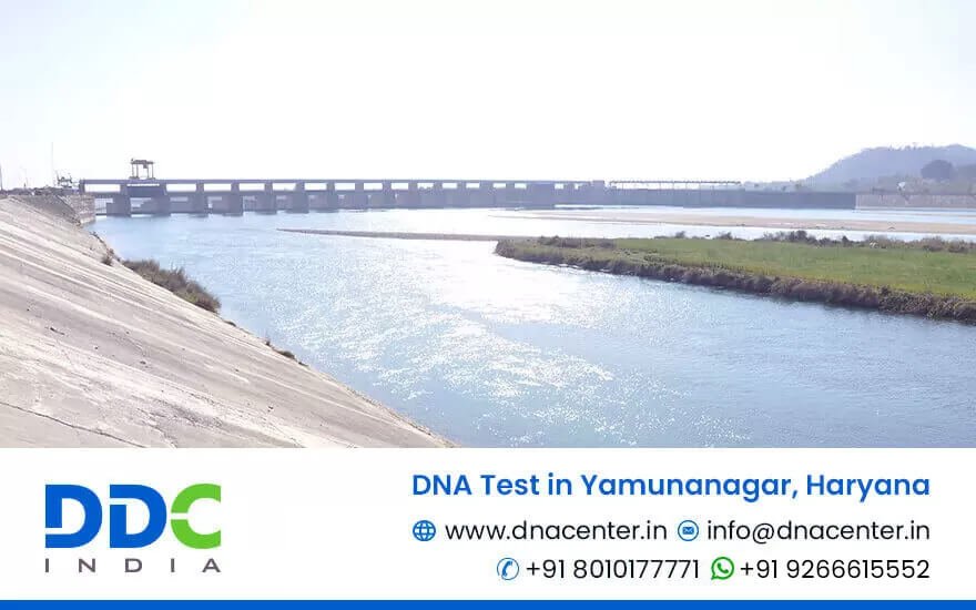 DNA Test in Yamunanagar