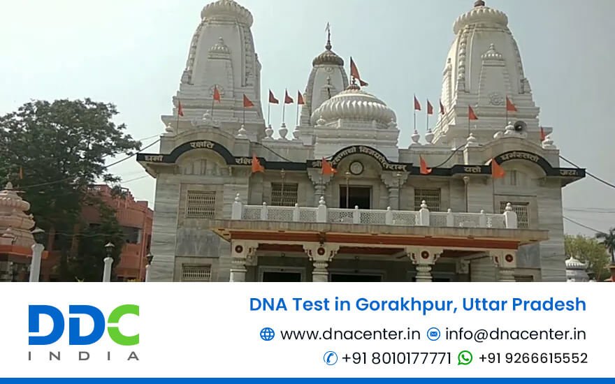DNA test in Gorakhpur