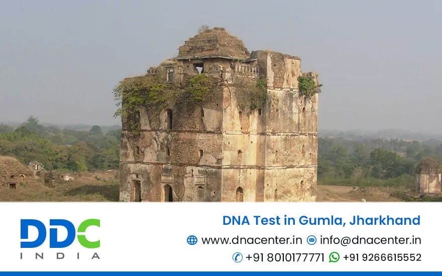 DNA test in Gumla