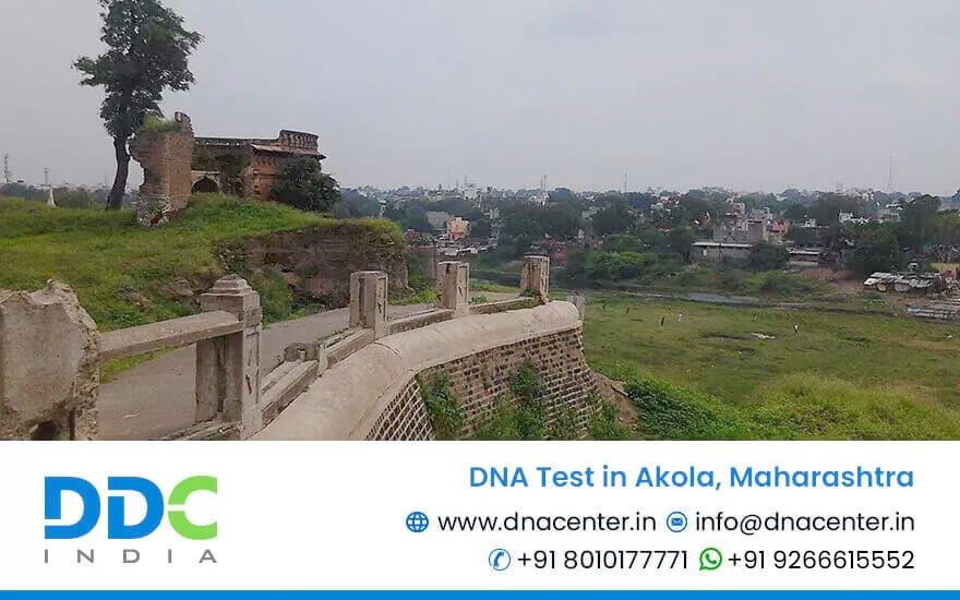 DNA Test in Akola