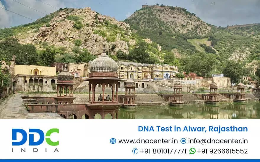 DNA Test in Alwar