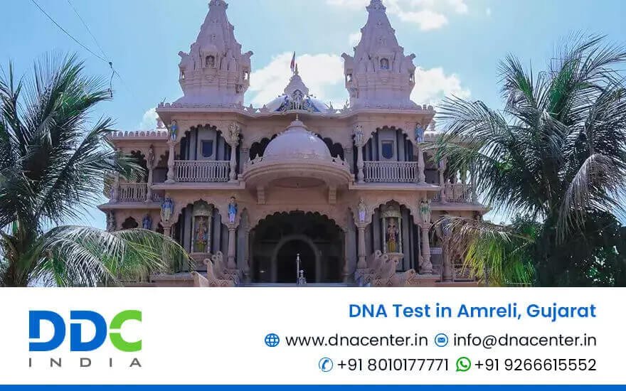 DNA Test in Amreli