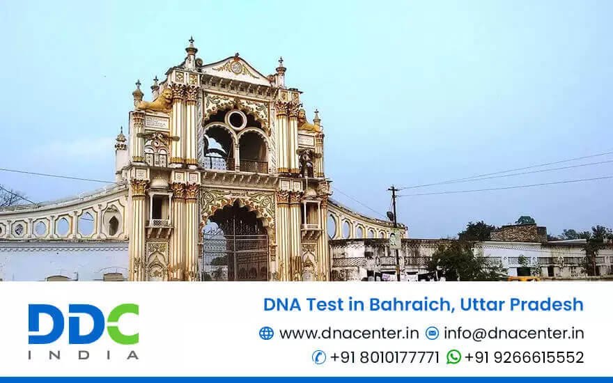 DNA Test in Bahraich