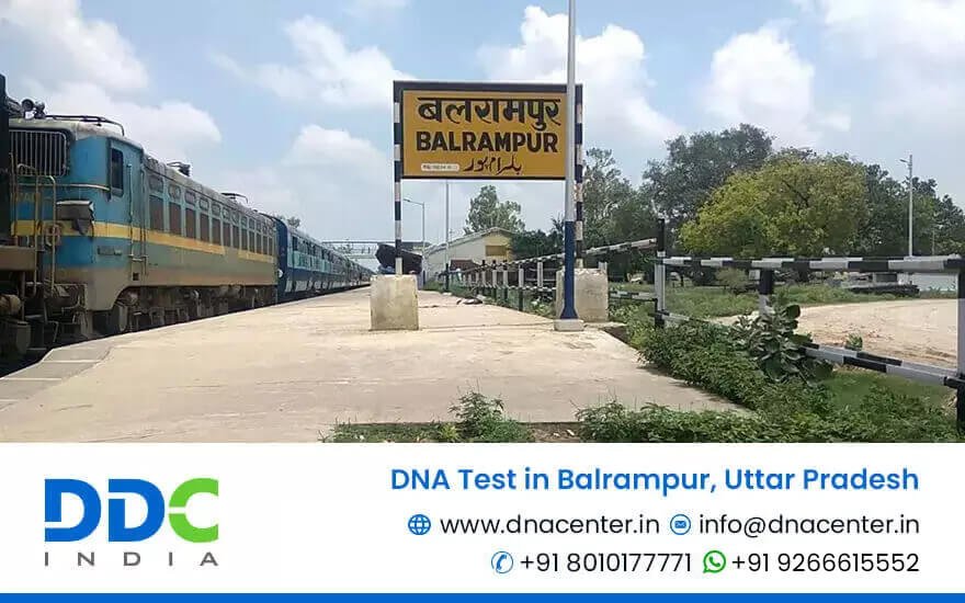 DNA Test in Balrampur