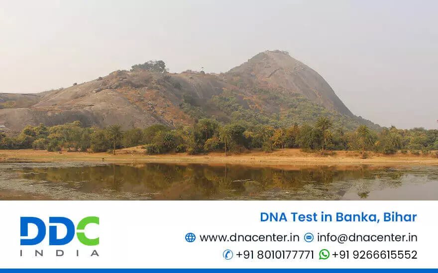 DNA Test in Banka