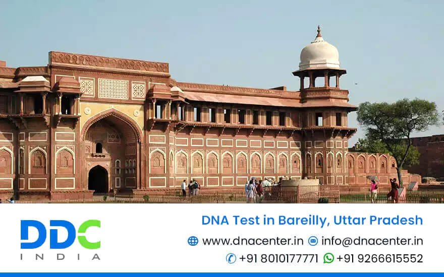 DNA Test in Bareilly