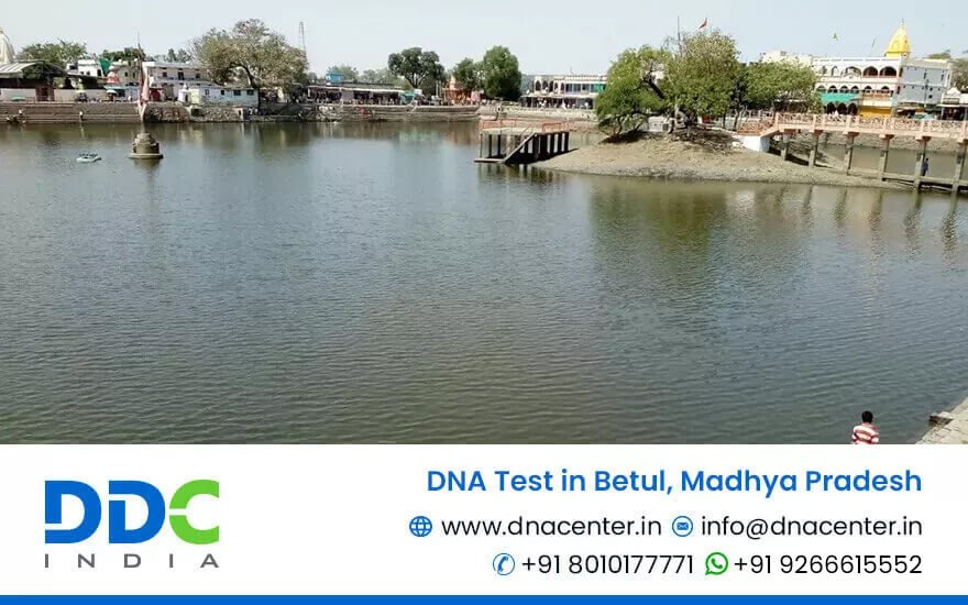 DNA Test in Betul