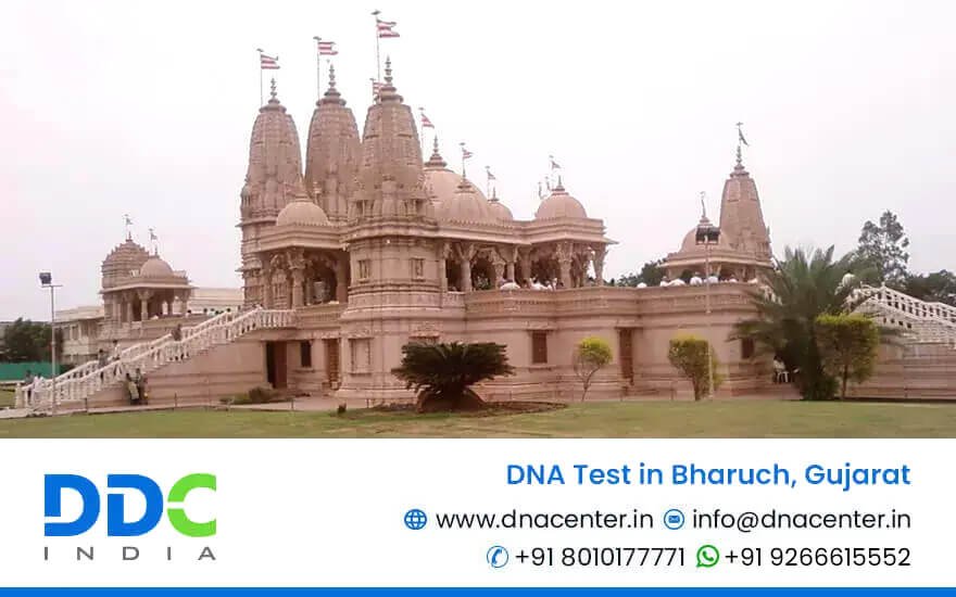 DNA Test in Bharuch