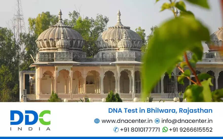 DNA Test in Bhilwara