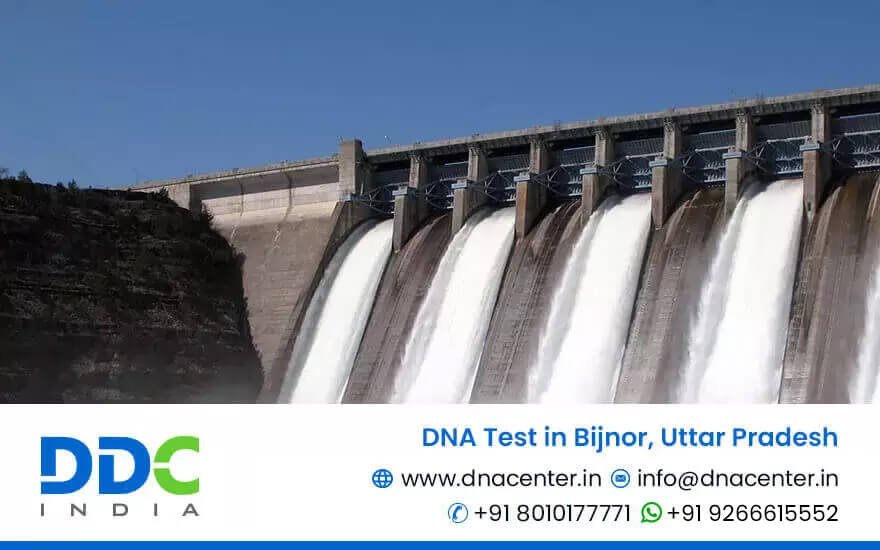 DNA Test in Bijnor