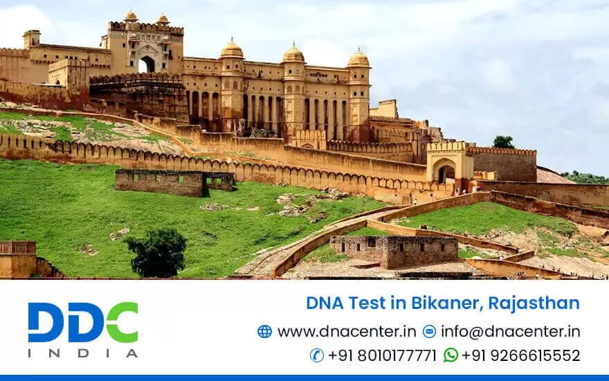 DNA Test in Bikaner