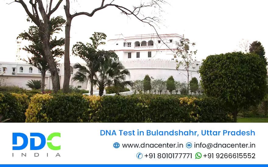 DNA Test in Bulandshahr