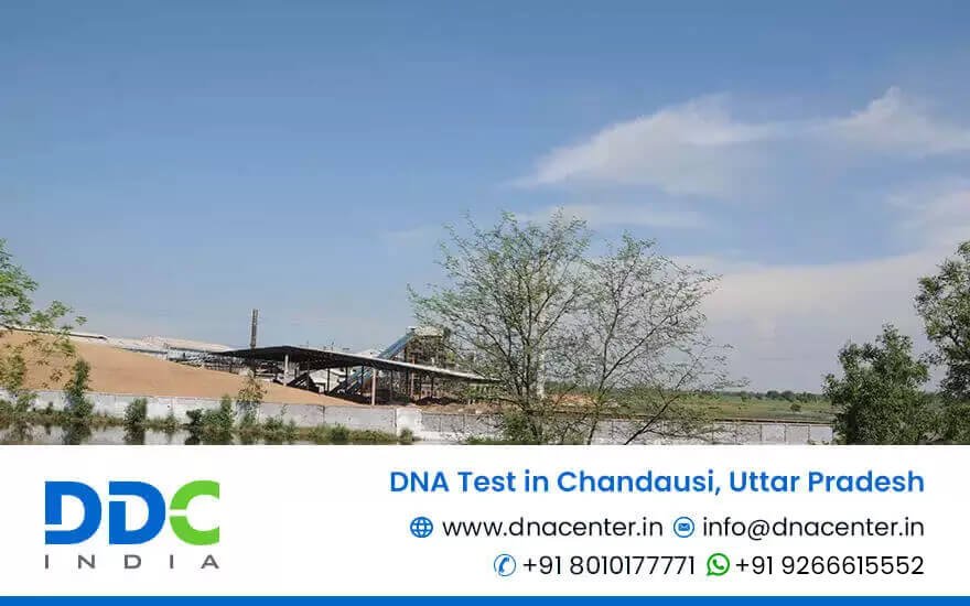 DNA Test in Chandausi