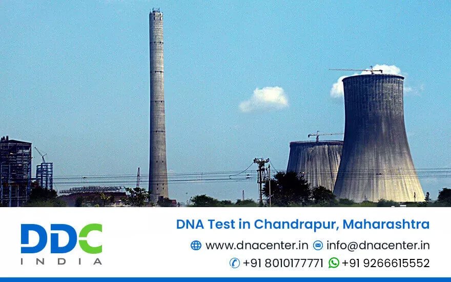 DNA Test in Chandrapur