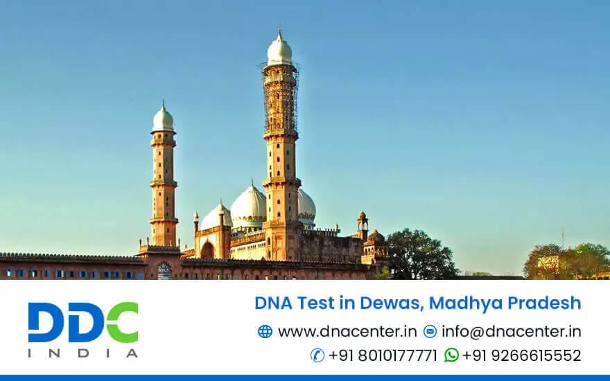 DNA Test in Dewas