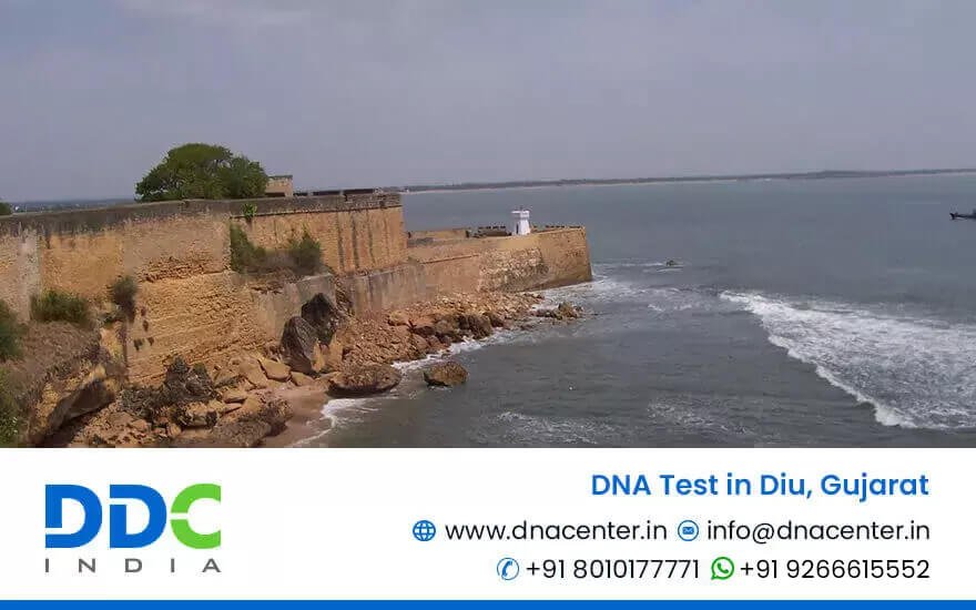 DNA Test in Diu