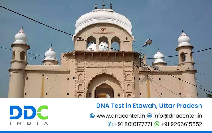 DNA Test in Etawah