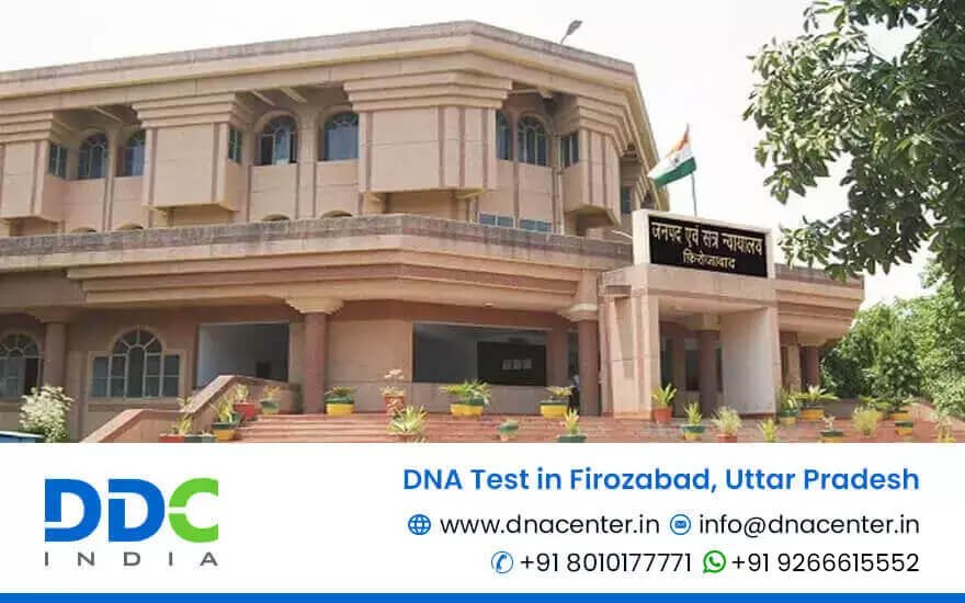 DNA Test in Firozabad