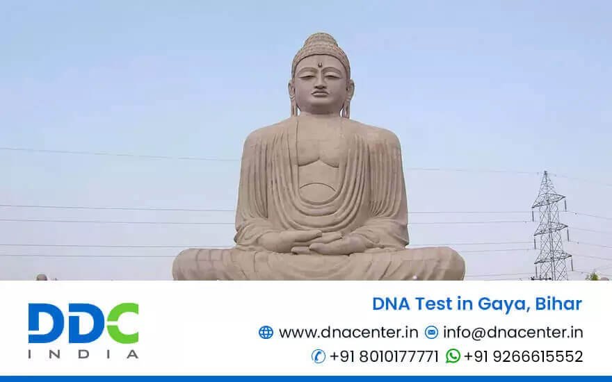 DNA Test in Gaya
