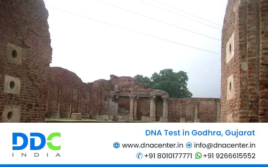 DNA Test in Godhra