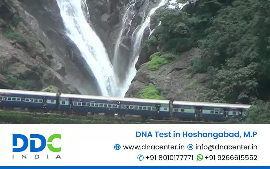 DNA Test in Hoshangabad