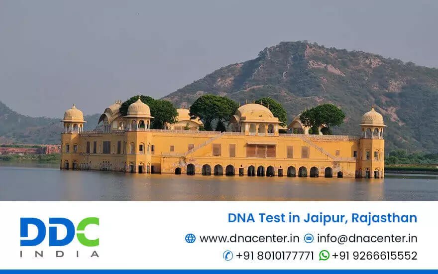 DNA Test in Jaipur