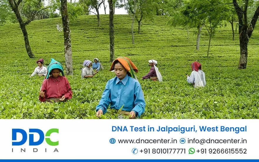 DNA Test in Jalpaiguri